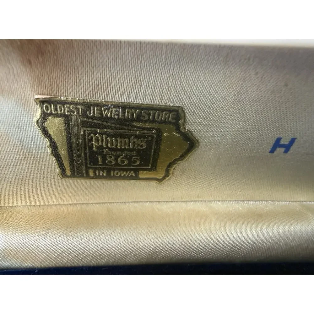 Hamilton vtg watch